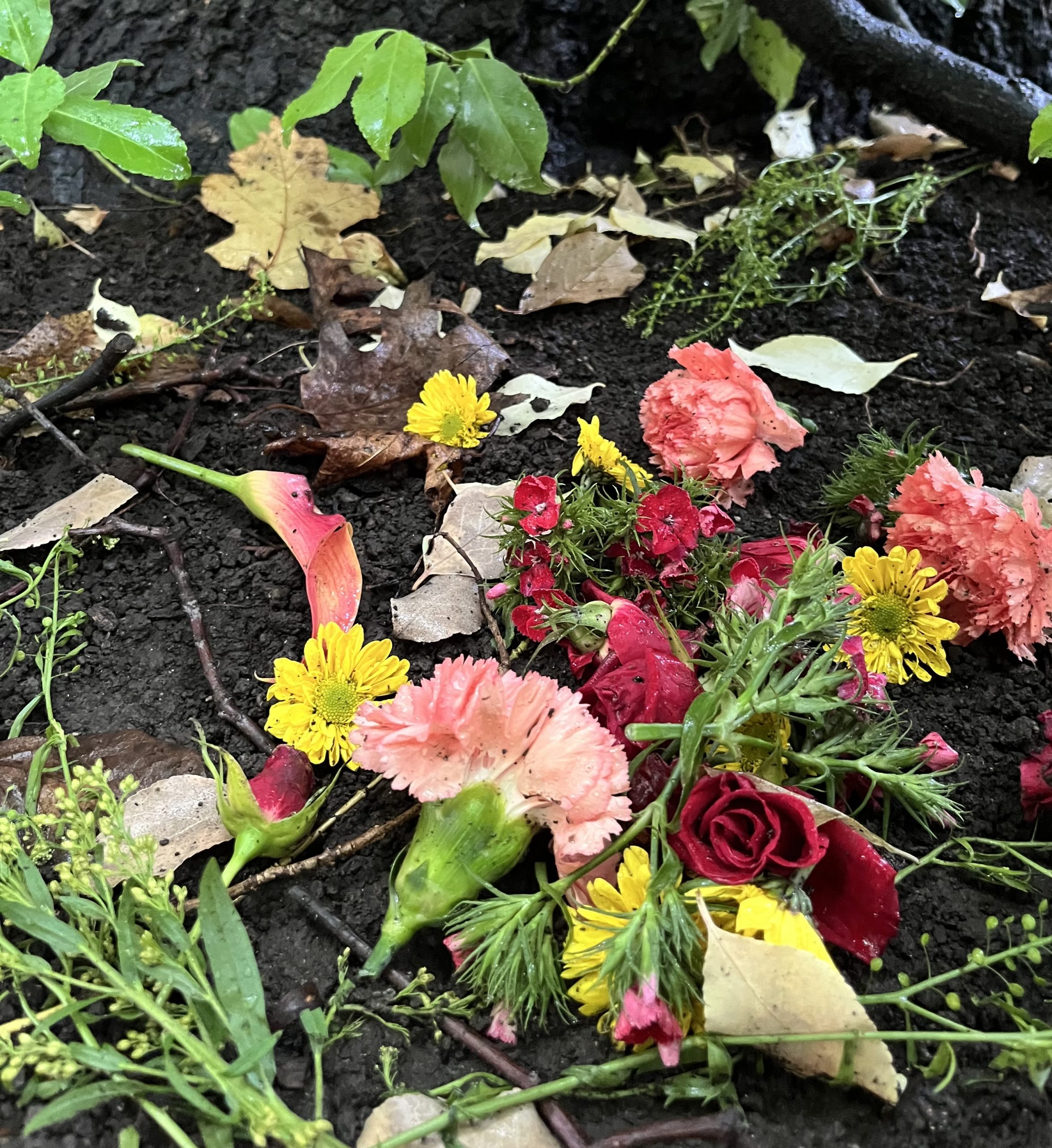 “Flower offering at the base of a tree during the fall equinox.”